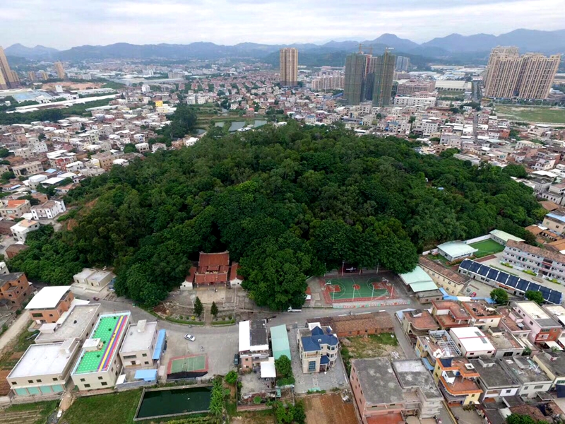 东山村